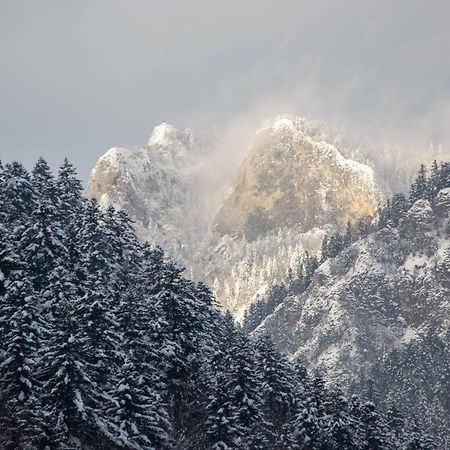 Ubytovanie U Jozefa Červený Kláštor Exterior foto